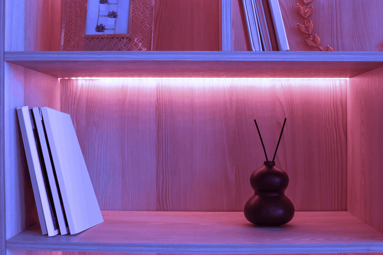 on-a-shelf-with-pink-neon-lighting-there-is-a-smal-2024-12-05-19-16-37-utc